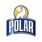 polar-500-2-300x300